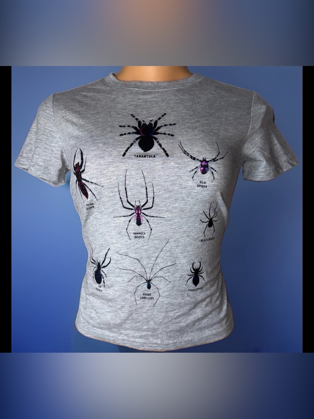 Gray Short Sleeve Spider Graphic Tee